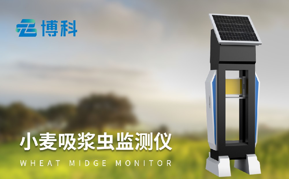 小麥吸漿蟲防治方法有哪些，小麥吸漿蟲測報儀