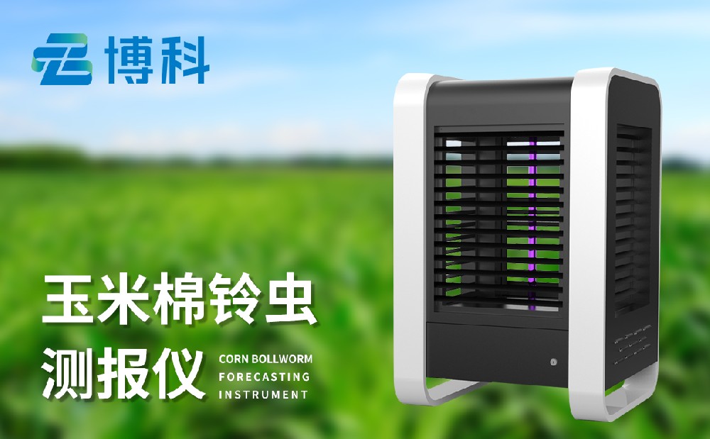 玉米棉鈴蟲測(cè)報(bào)儀提升玉米蟲害的治理能力