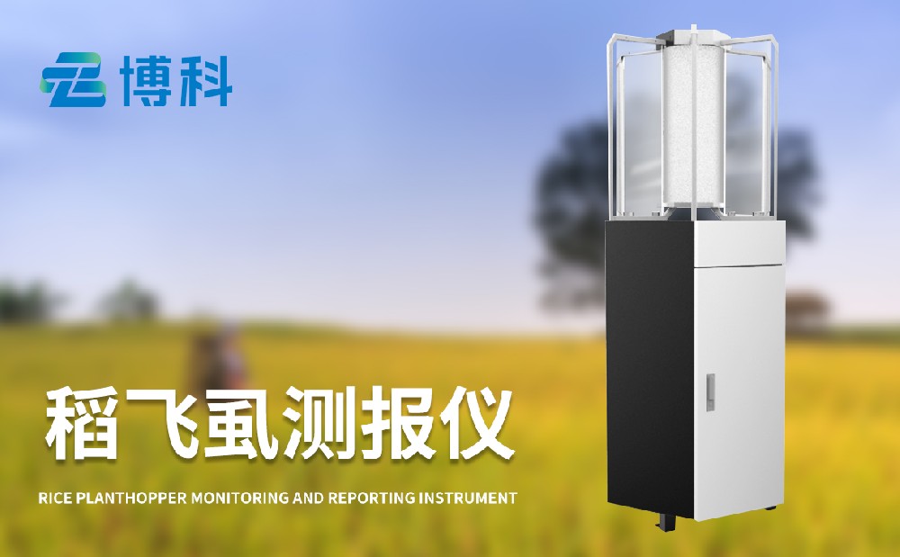 稻飛虱測報(bào)儀對水稻病蟲害治理的幫助